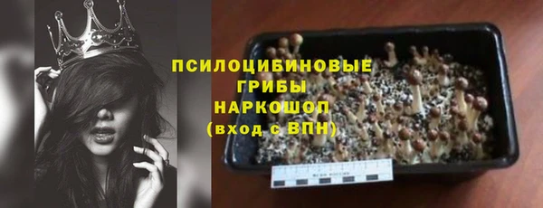 ГАЛЛЮЦИНОГЕННЫЕ ГРИБЫ Алзамай