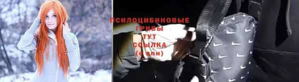 ГАЛЛЮЦИНОГЕННЫЕ ГРИБЫ Алзамай