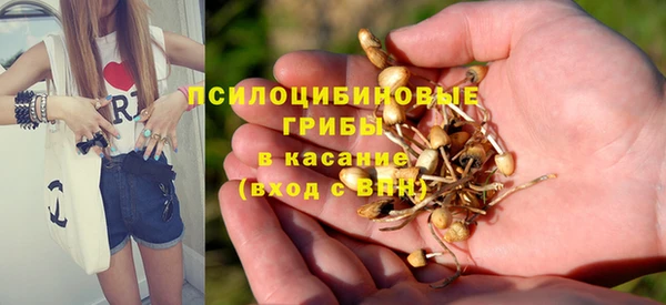 ГАЛЛЮЦИНОГЕННЫЕ ГРИБЫ Алзамай