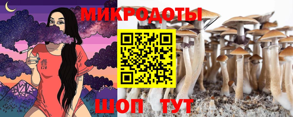 Псилоцибиновые грибы Psilocybine cubensis Гурьевск