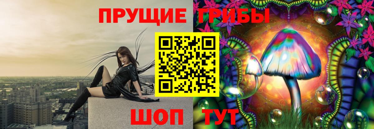 Гурьевск  Галлюциногенные грибы прущие грибы  Вход с VPN  Галлюциногенные грибы мицелий 