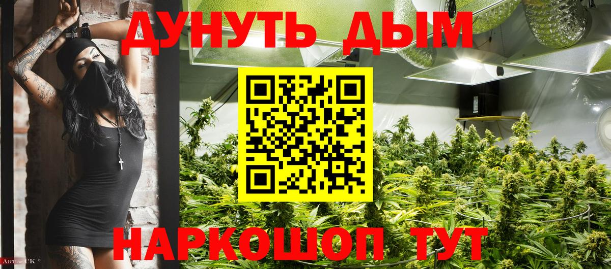 Гурьевск  Бошки марихуана гибрид  Шишки марихуана сатива  МАРИХУАНА план  Вход с VPN  Канабис White Widow 